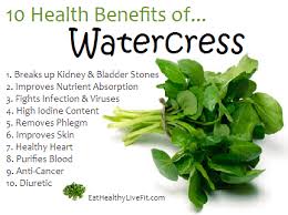 Top 10 Benefits Of Watercress Leaves, Juice, Oil For Hair, Health, And Beauty