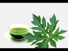 How to Use Papaya Leaf Juice for Dengue Fever